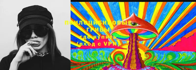 Галлюциногенные грибы Psilocybine cubensis Тюкалинск